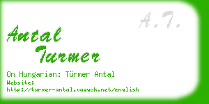 antal turmer business card
